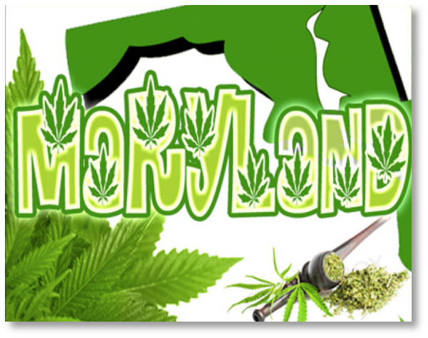 Marijuana-Turns-19-in-Maryland
