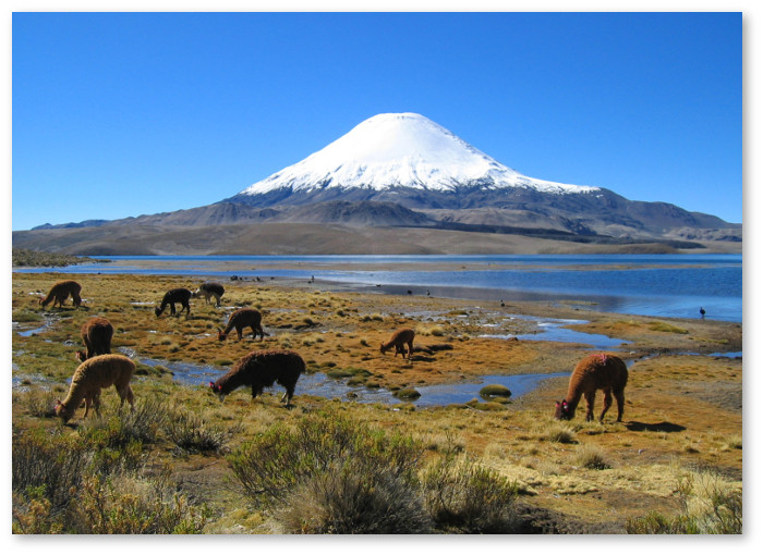Parinacota volcano