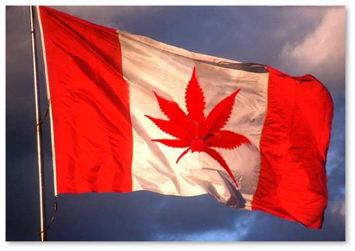 Marijuana-Canada