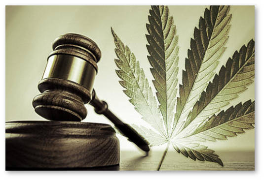 gavel-marijuana
