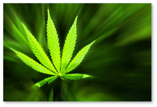 marijuana-healing-power