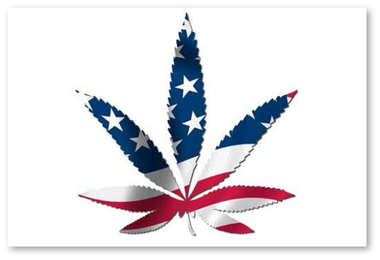 marijuana usa