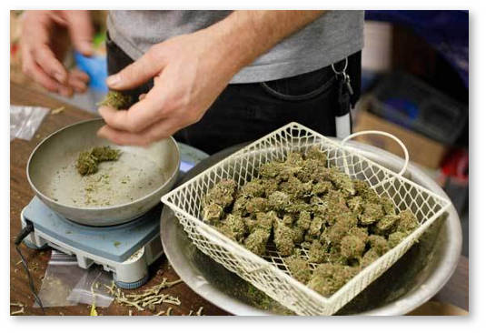 washington-state-marijuana