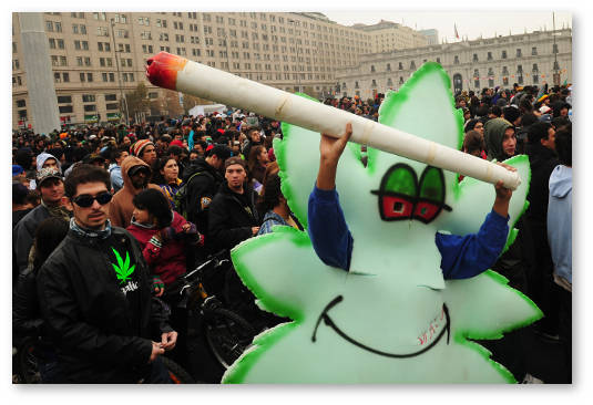 legalizatsiya-marihuani-v-chili