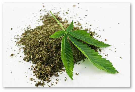 list-medicinskoj-marixuany