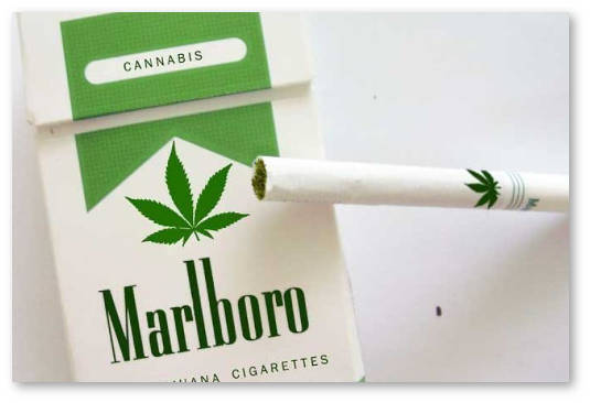 legalizaciya-konopli