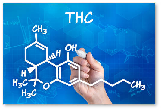 otkryty-novye-kannabinoidy