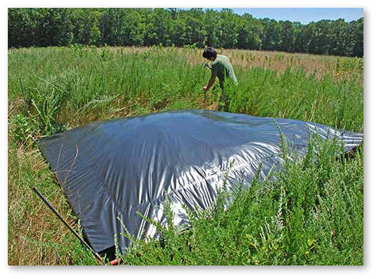 solyarizaciya-pochvy