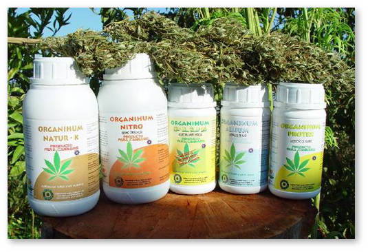 udobreniya-dlya-konopli