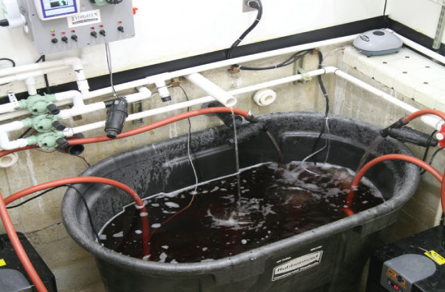 gidroponika-dlya-nachinayushchih-8