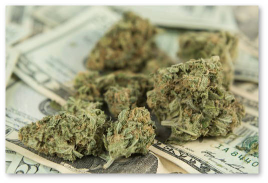 investicii-v-konoplyanuyu-otrasl