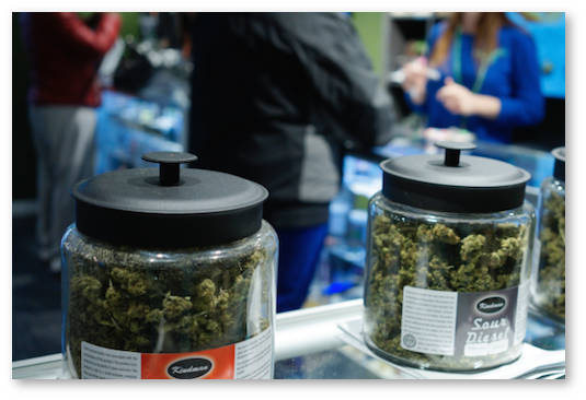 marihuana-put-k-narkotikam