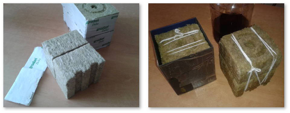 peresadka-avtocvetov-bez-stressa-02