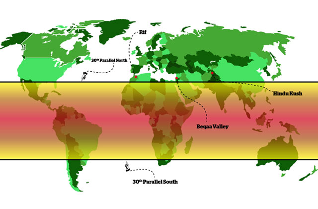 High-THC-map