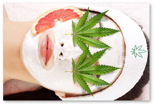 konoplya-i-process-stareniya