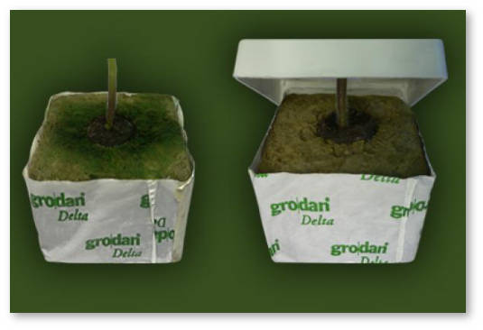 mineralnaya-vata-pozelenela