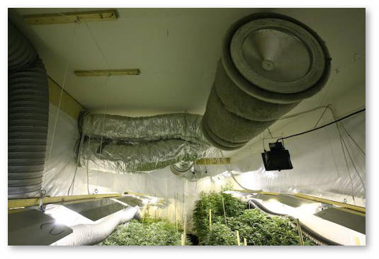 vybor-ventilyatora-dlya-palatki