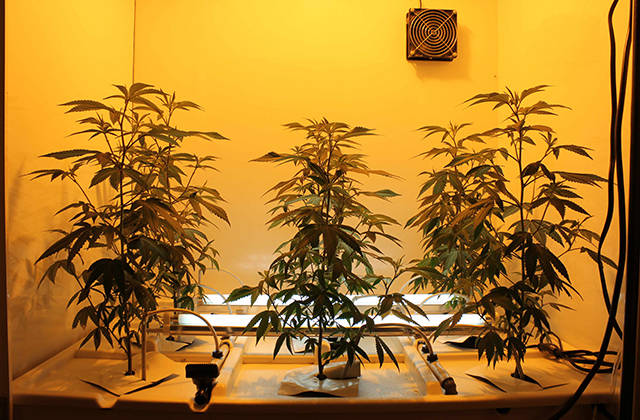 bc-northern-lights-1