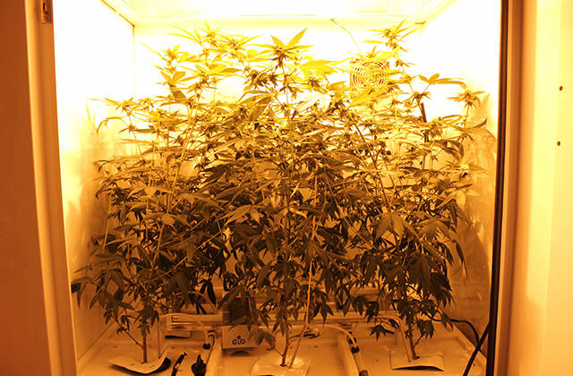 bc-northern-lights-2