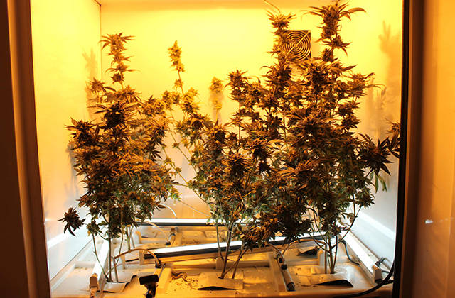 bc-northern-lights-3