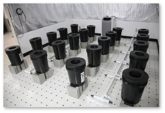 chistota-v-groubokse