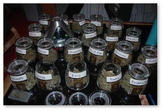 chto-takoe-prolechka