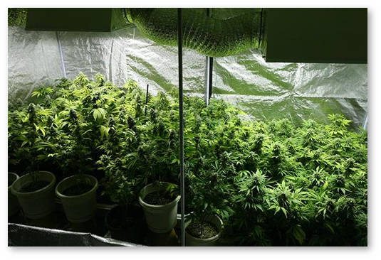 istochnik-co2-dlya-boksa-1