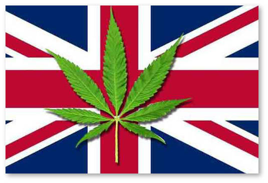 legalizaciya-marihuany-v-velikobritanii