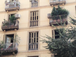 legalnaya-marihuana-v-barselone-3