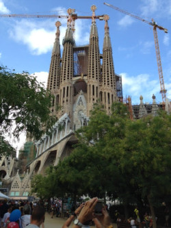 legalnaya-marihuana-v-barselone-4