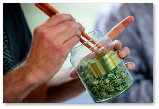 novosti-legalizacii-marihuany