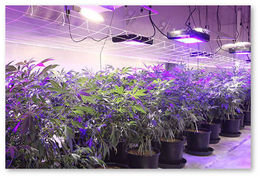 svetodiodnaya-lampa-led-ili-dnat