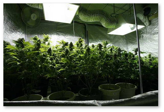 vybor-lampy-dlya-nachinayushchih