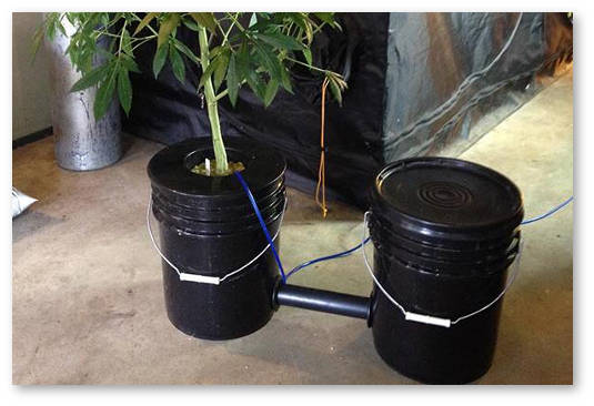 gidroponika-svoimi-rukami-01