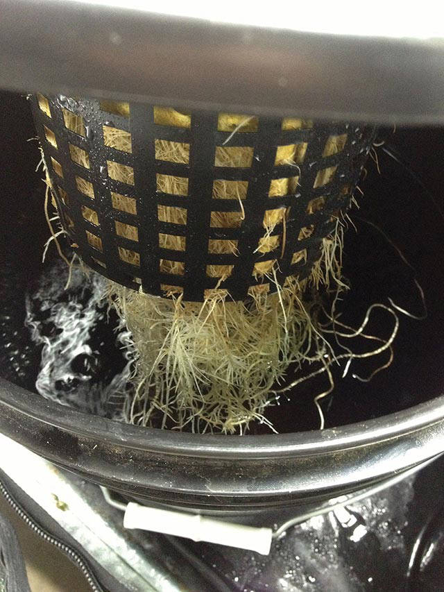 gidroponika-svoimi-rukami-16