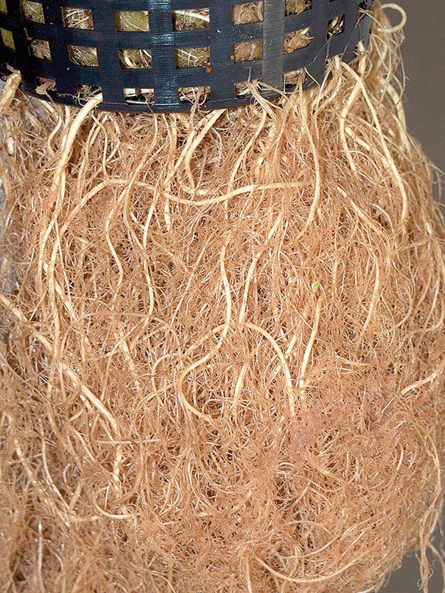 gidroponika-svoimi-rukami-17