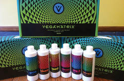 kak-udobryat-konoplyu-1