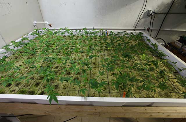 kogda-delat-pervuyu-peresadku-3