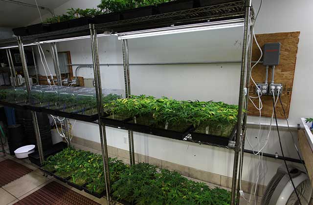 kogda-delat-pervuyu-peresadku-4