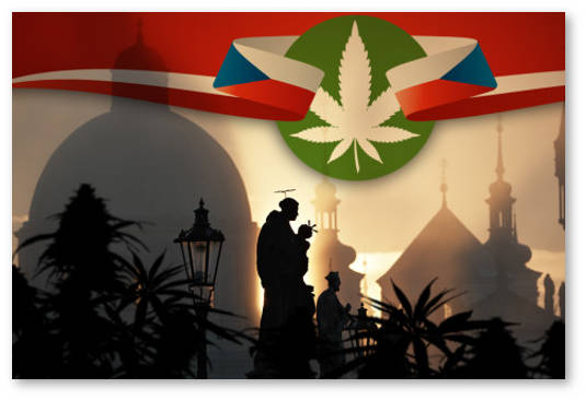 marihuana-v-cheshskoj-respublike-1