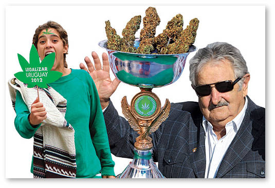 marihuana-v-urugvae