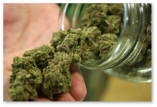 medicinskaya-i-rekreacionnaya-marihuana