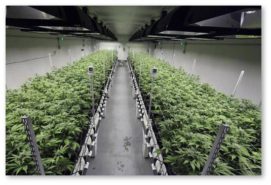 uroven-uglekislogo-gaza-v-bokse