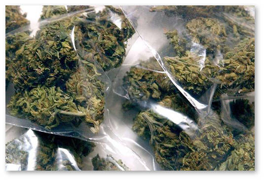 dekriminalizaciya-marihuany-v-tekhase