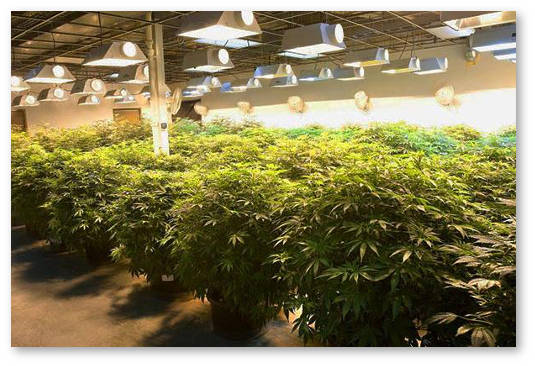 ehletroprovodnost-ec-i-chasticy-na-million-ppm