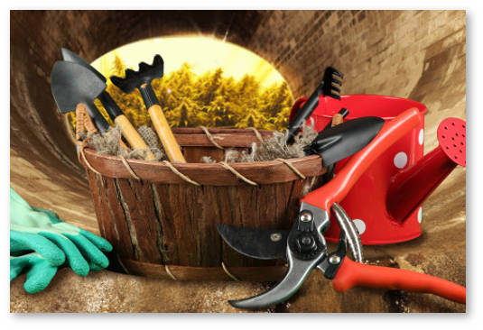 gde-vyrashchivayut-marihuanu