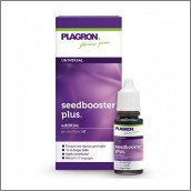 kak-prorastit-starye-semena-marihuany-1