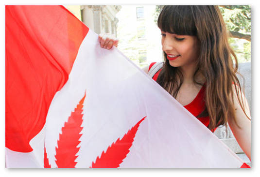 legalizaciya-konopli-v-kanade