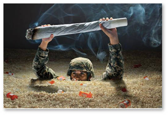 legalizaciya-marihuany-dlya-veteranov