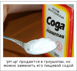 'pH up' продается в гроушопах, но можно заменить его пищевой содой